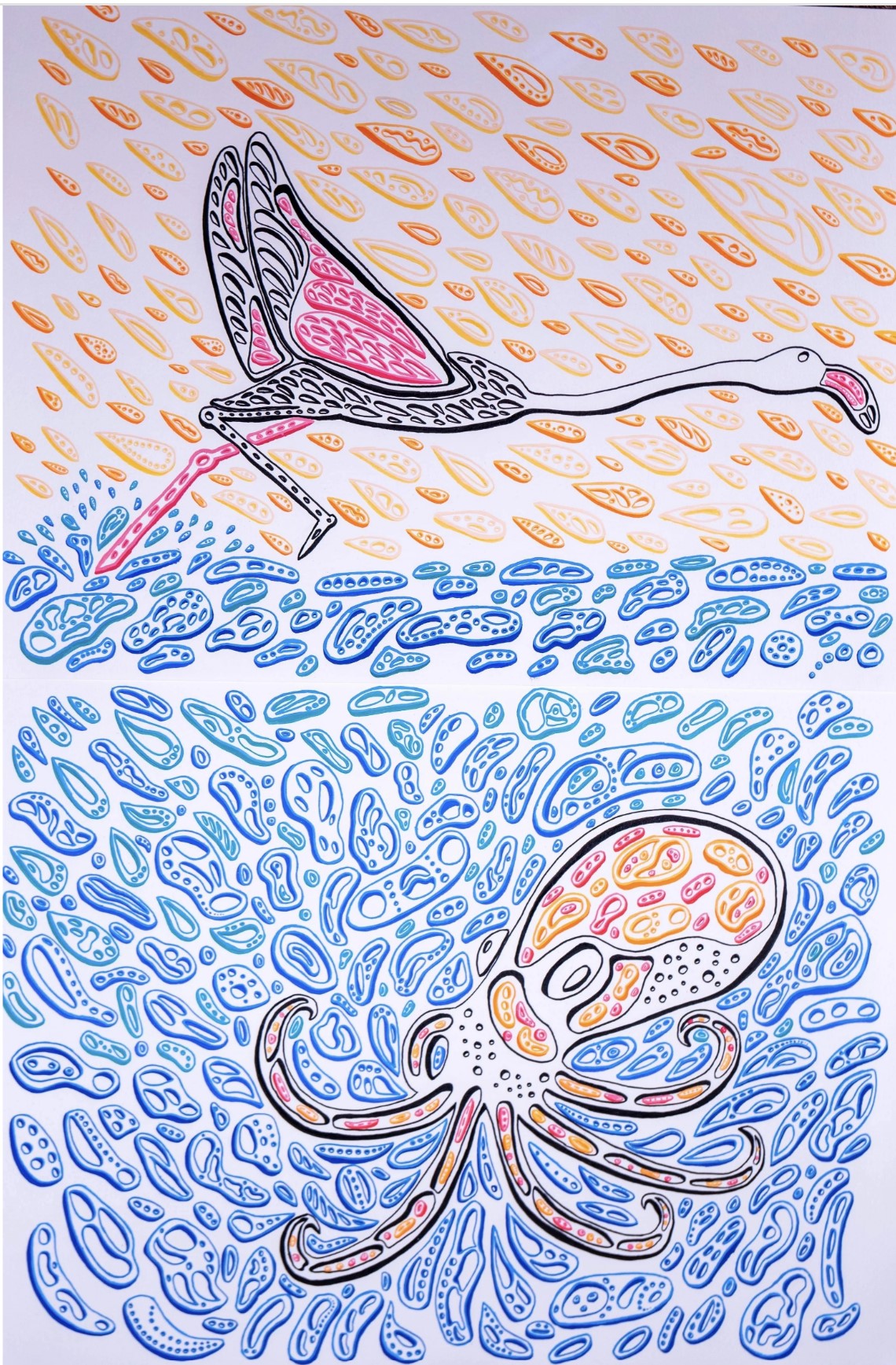 The Octopus & The Flamingo